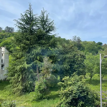 Apartment Delia Cangas de Onis